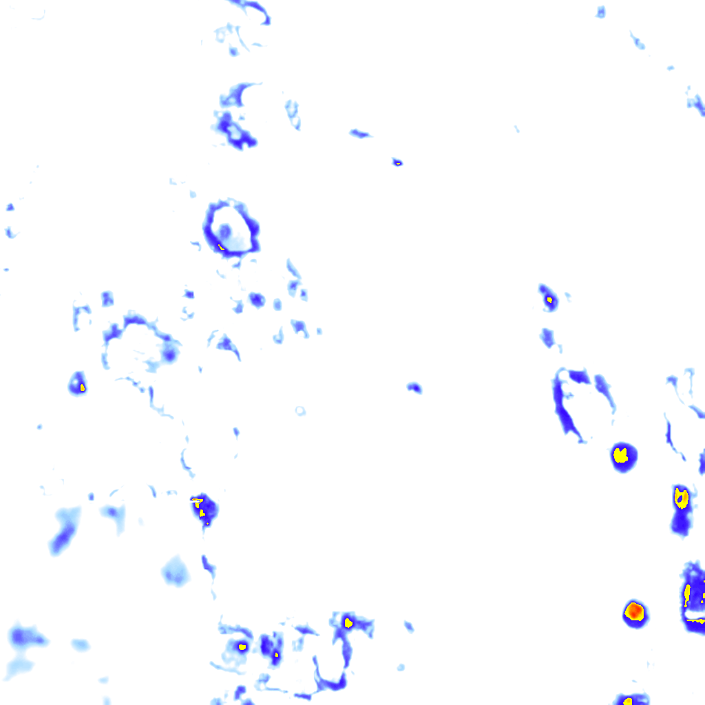 rainLayer