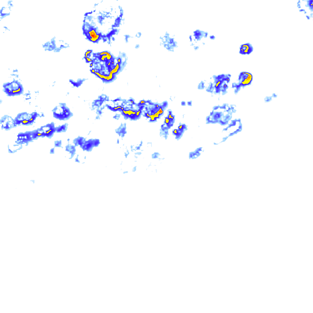 Image Layer