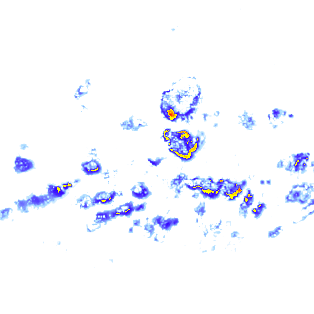Image Layer
