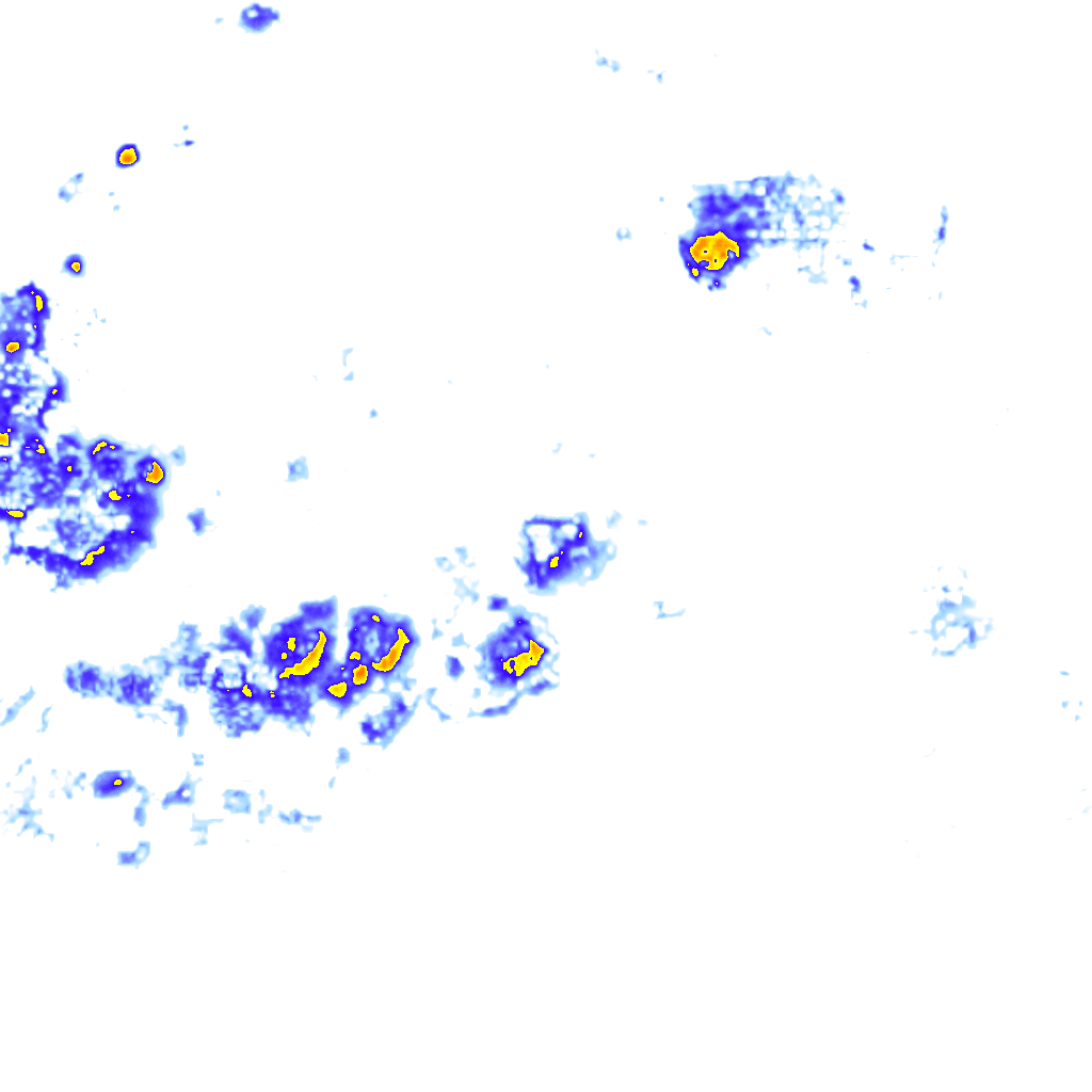 rainLayer