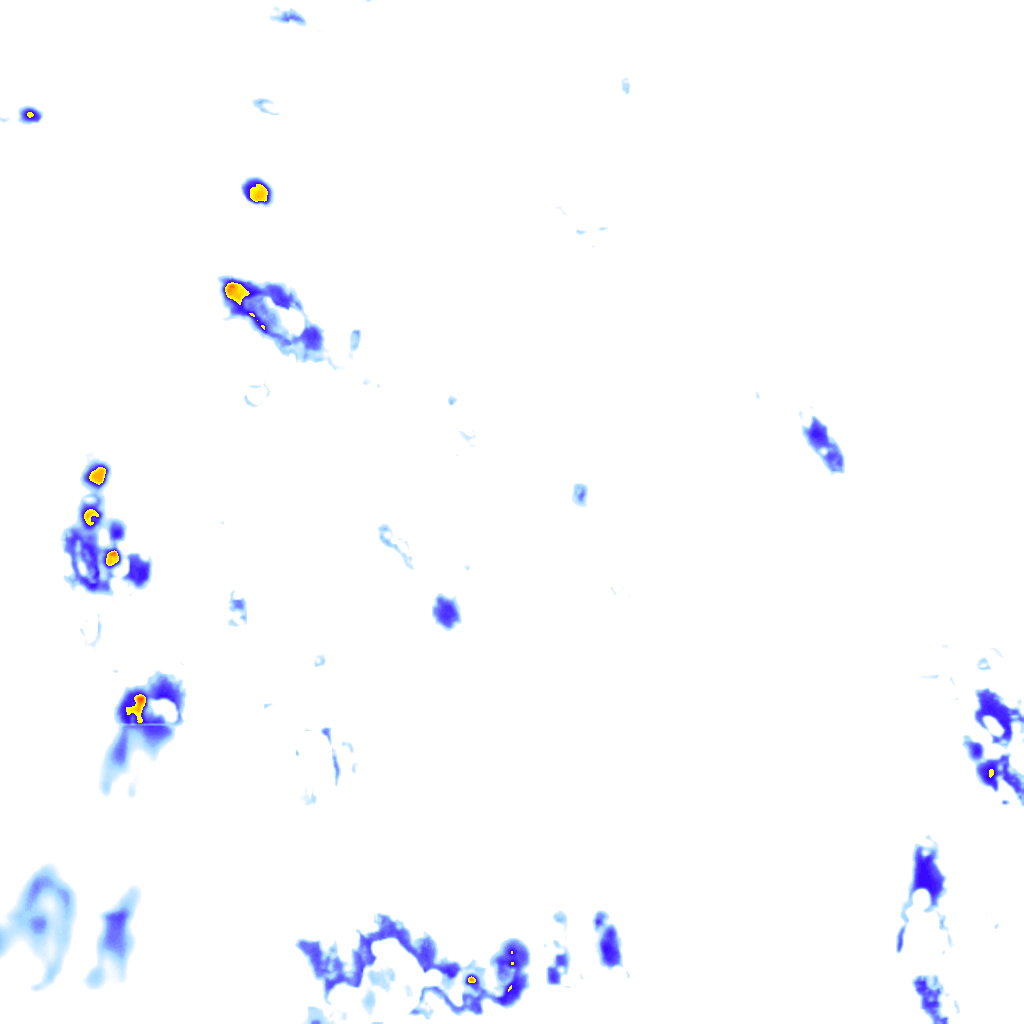 rainLayer