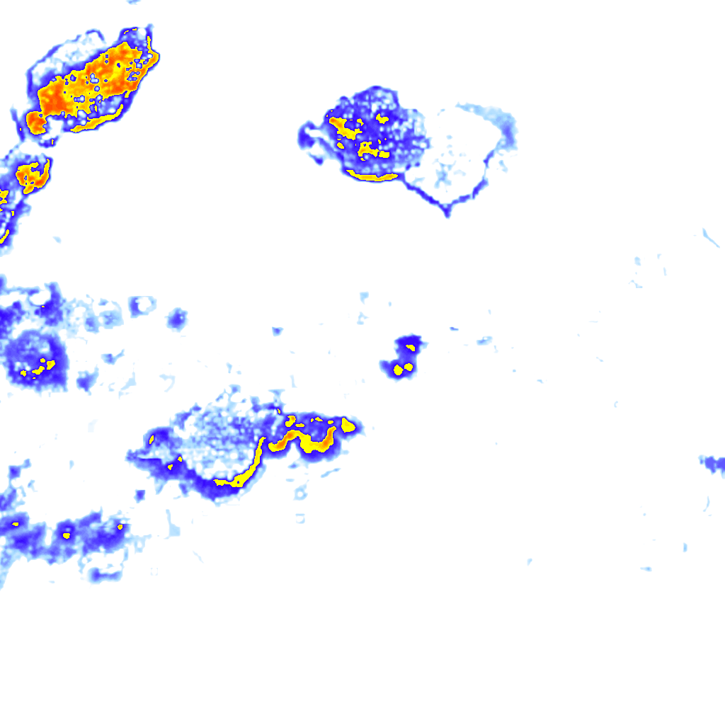 rainLayer