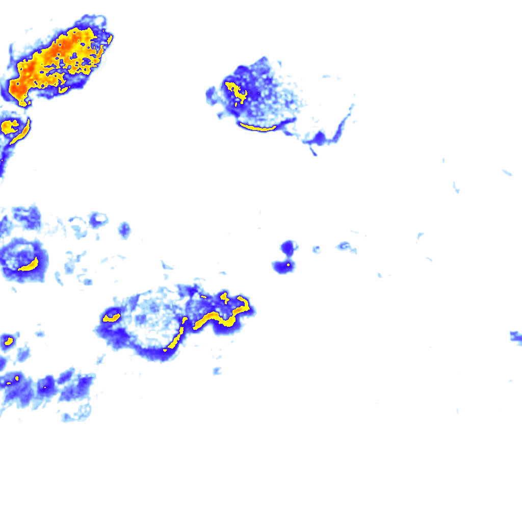 Image Layer