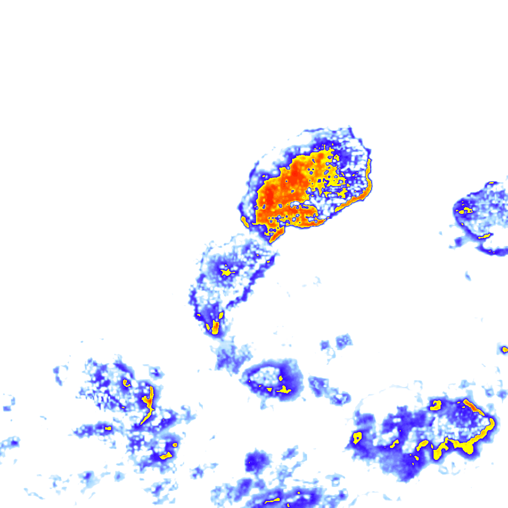 Image Layer