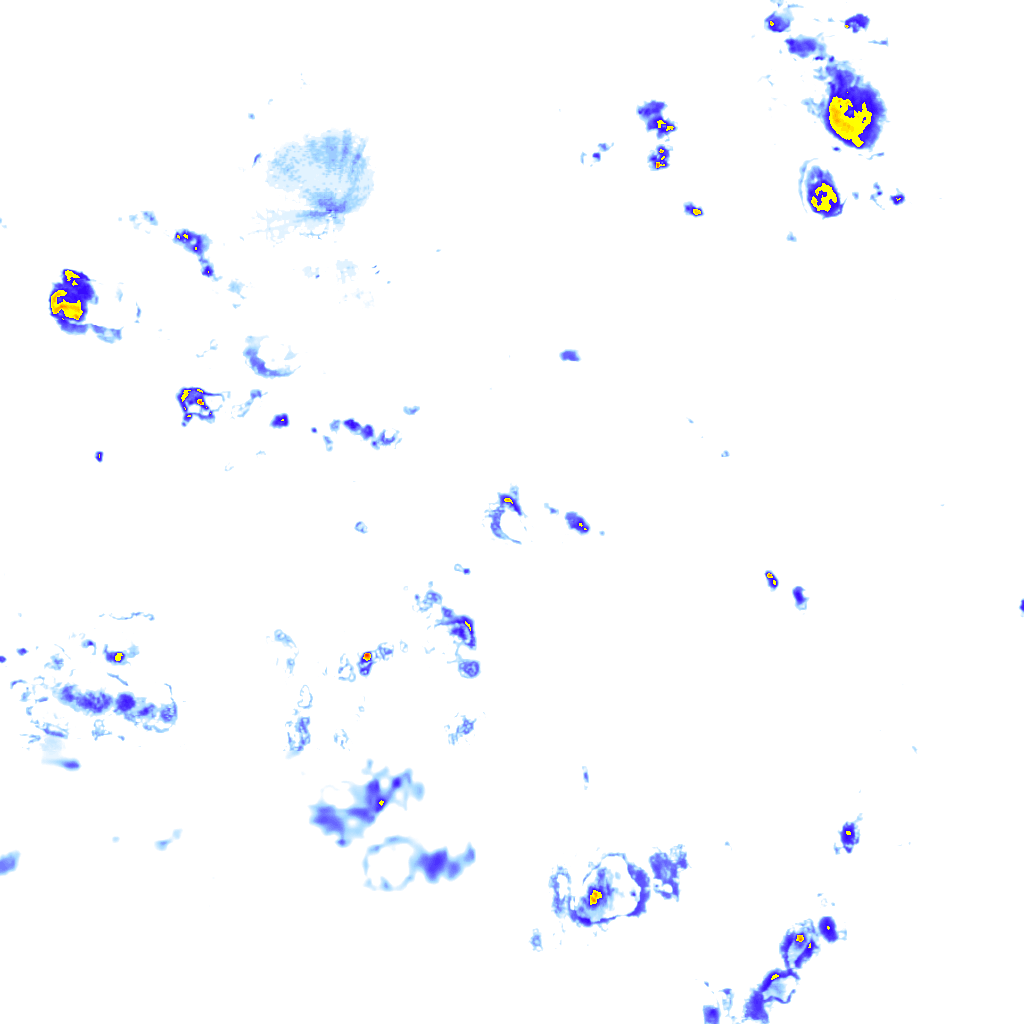 rainLayer