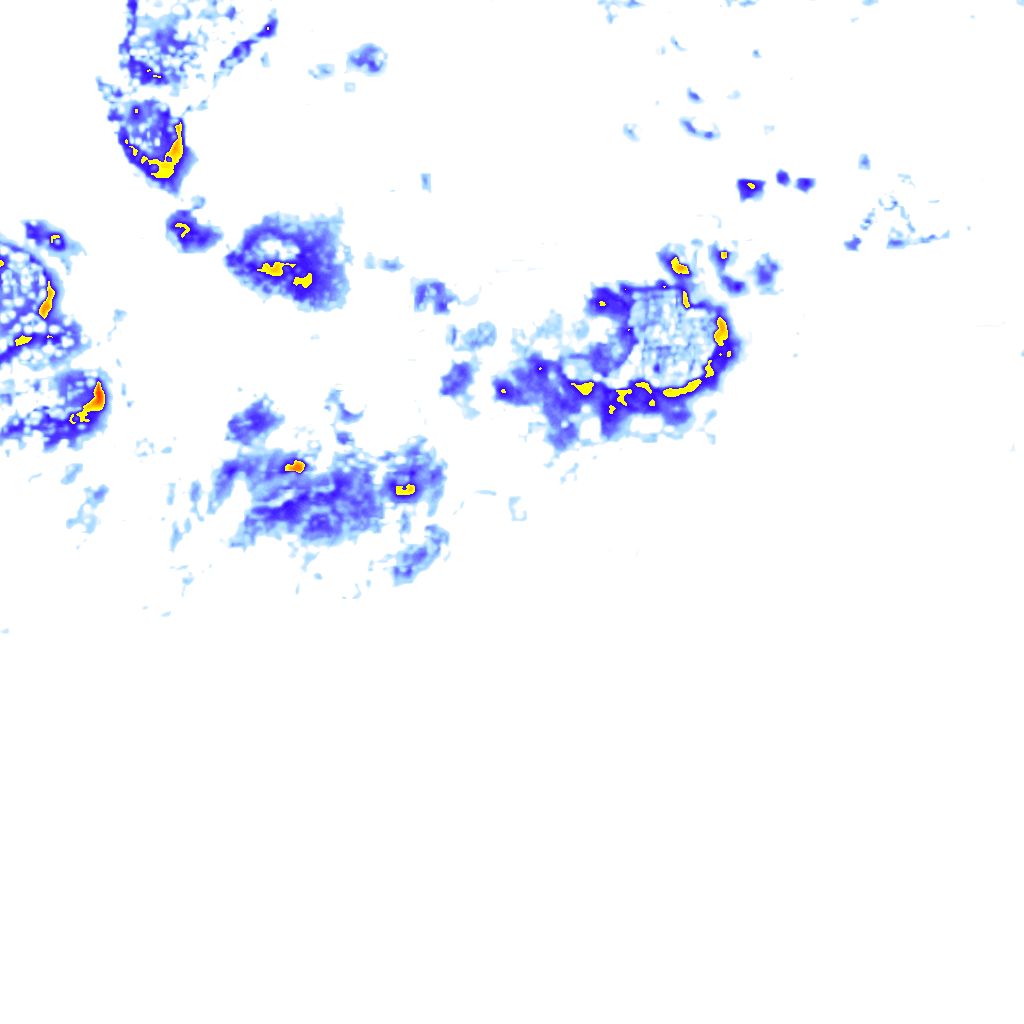 rainLayer