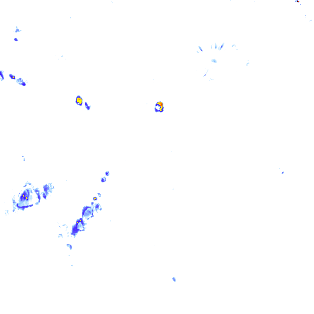 rainLayer