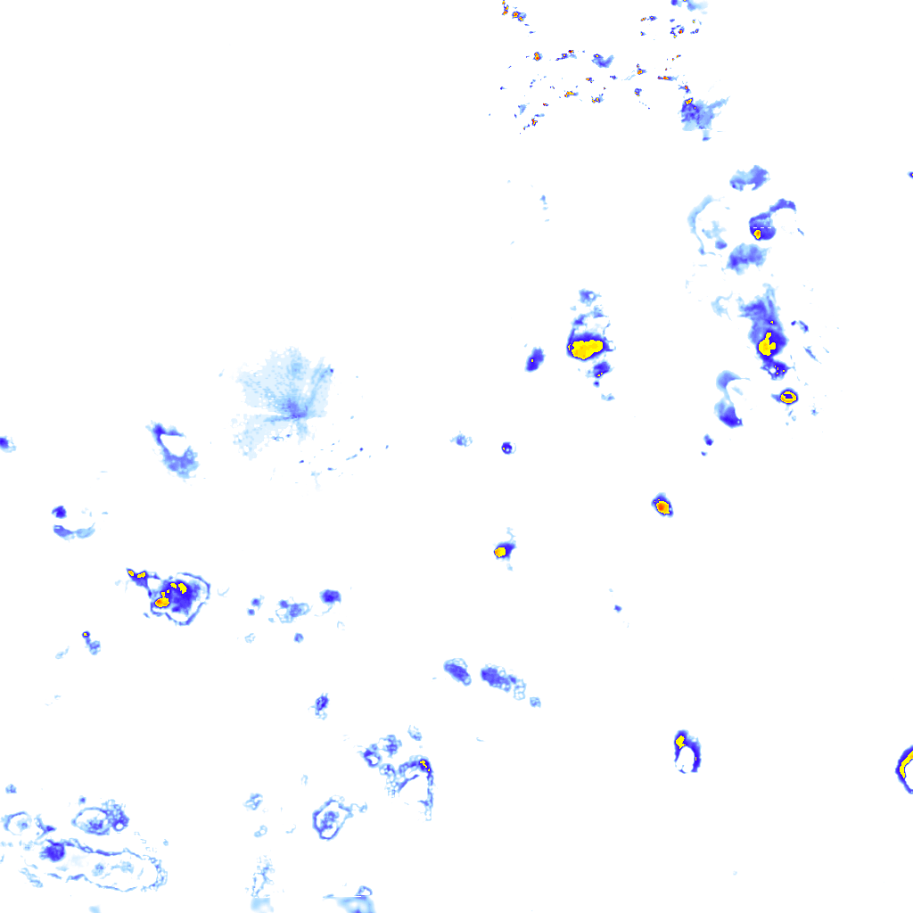rainLayer