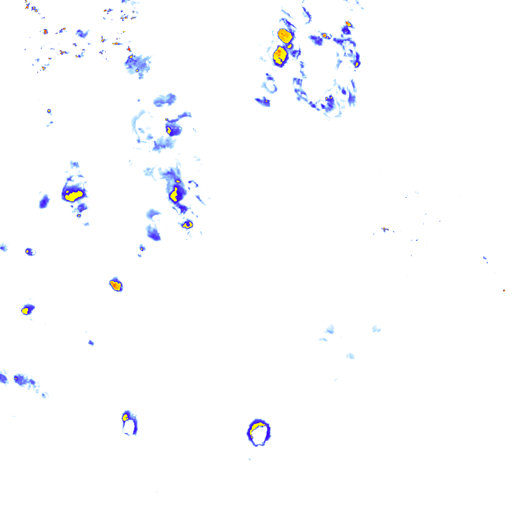 rainLayer