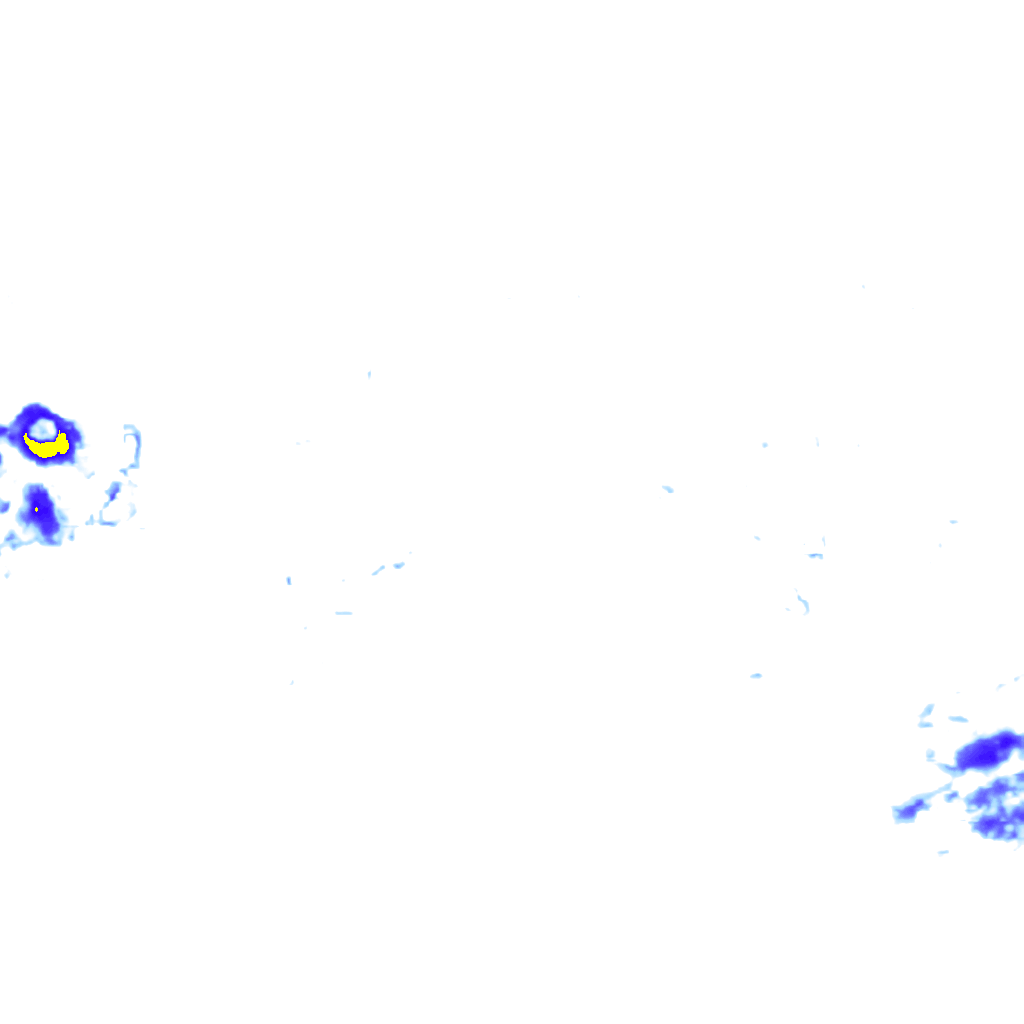 rainLayer