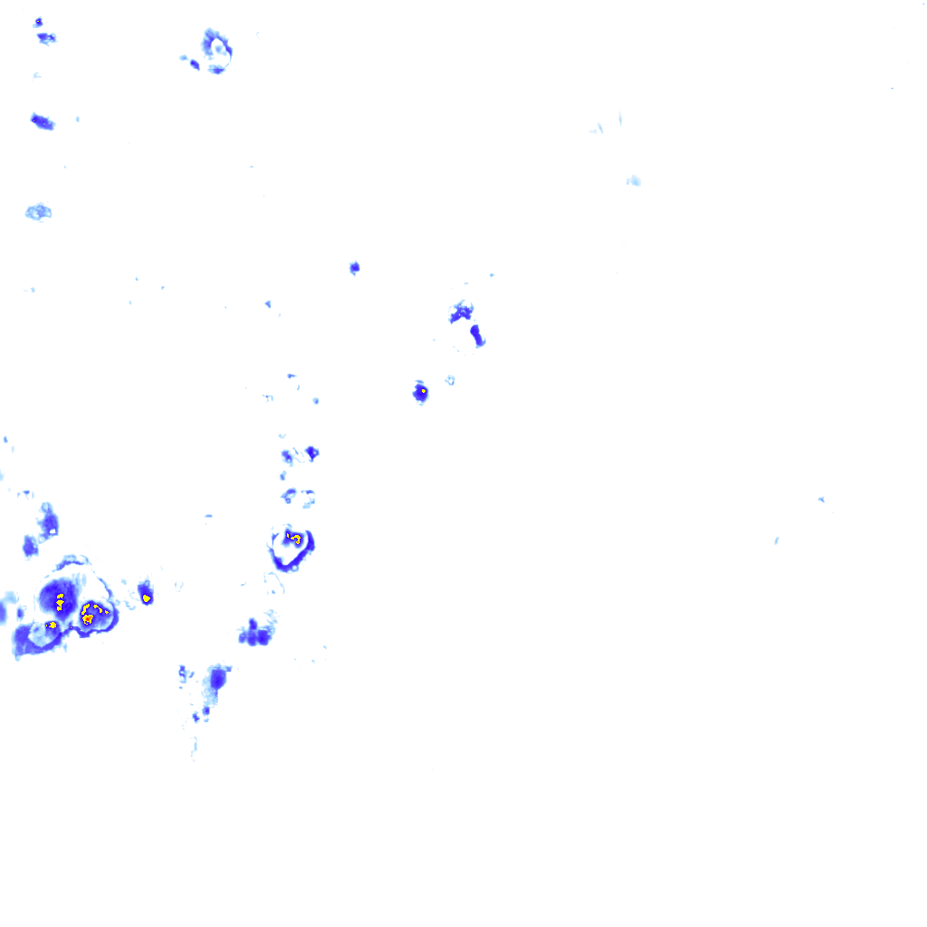 rainLayer