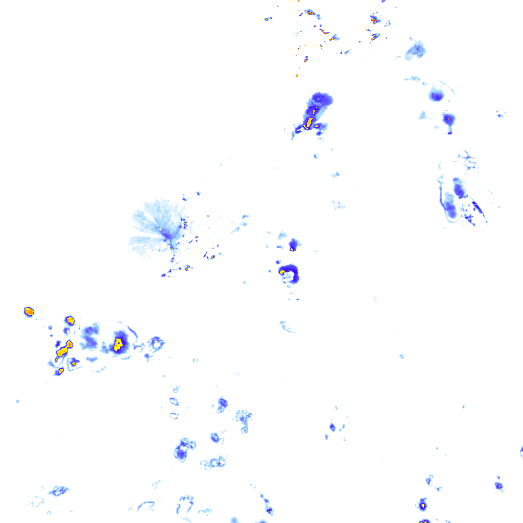 Image Layer