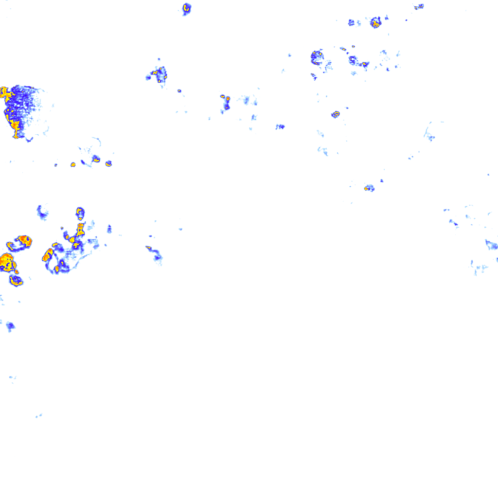 rainLayer