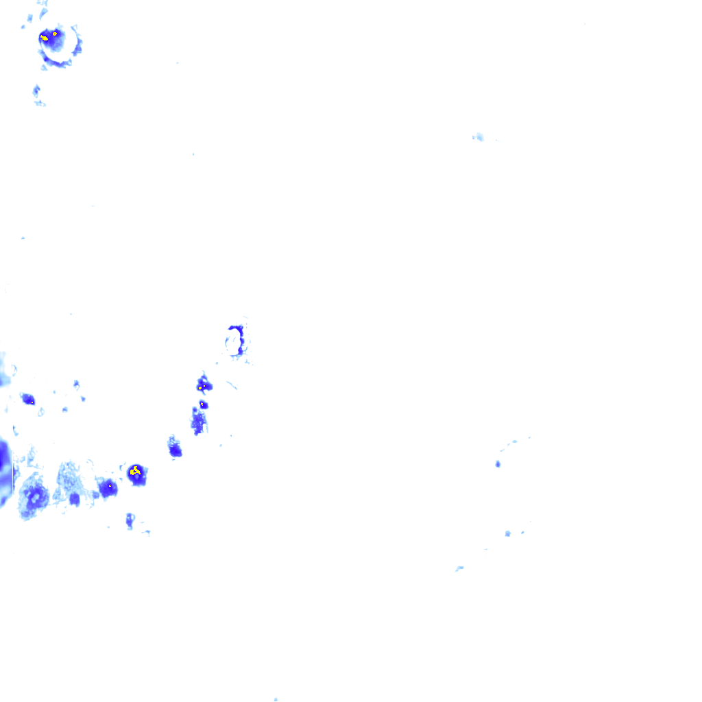 rainLayer