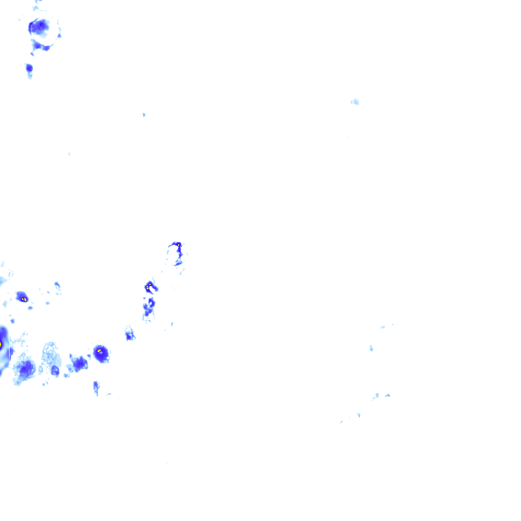 rainLayer