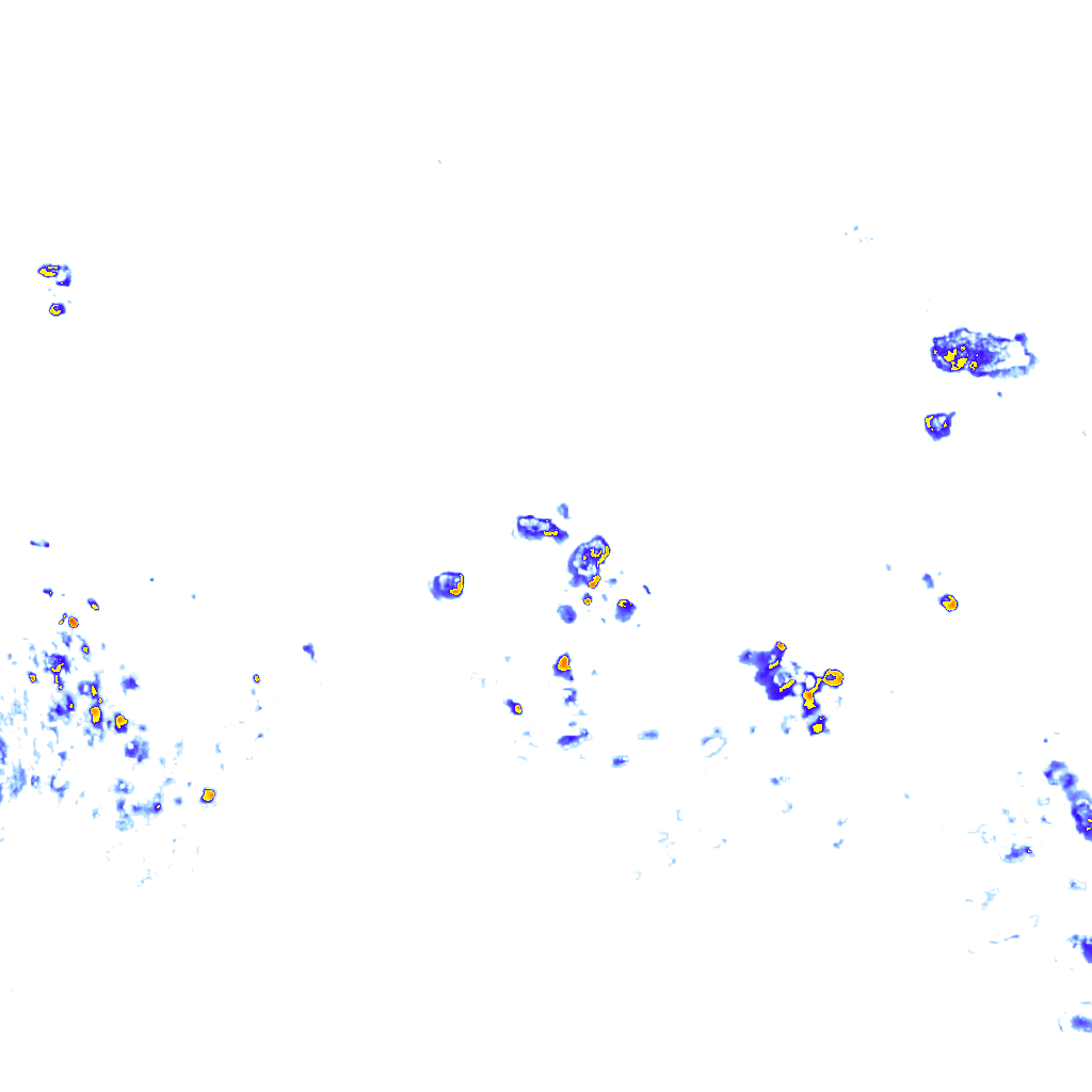 rainLayer