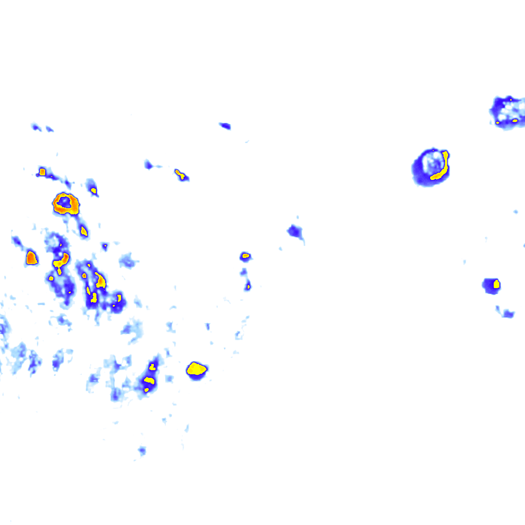 Image Layer