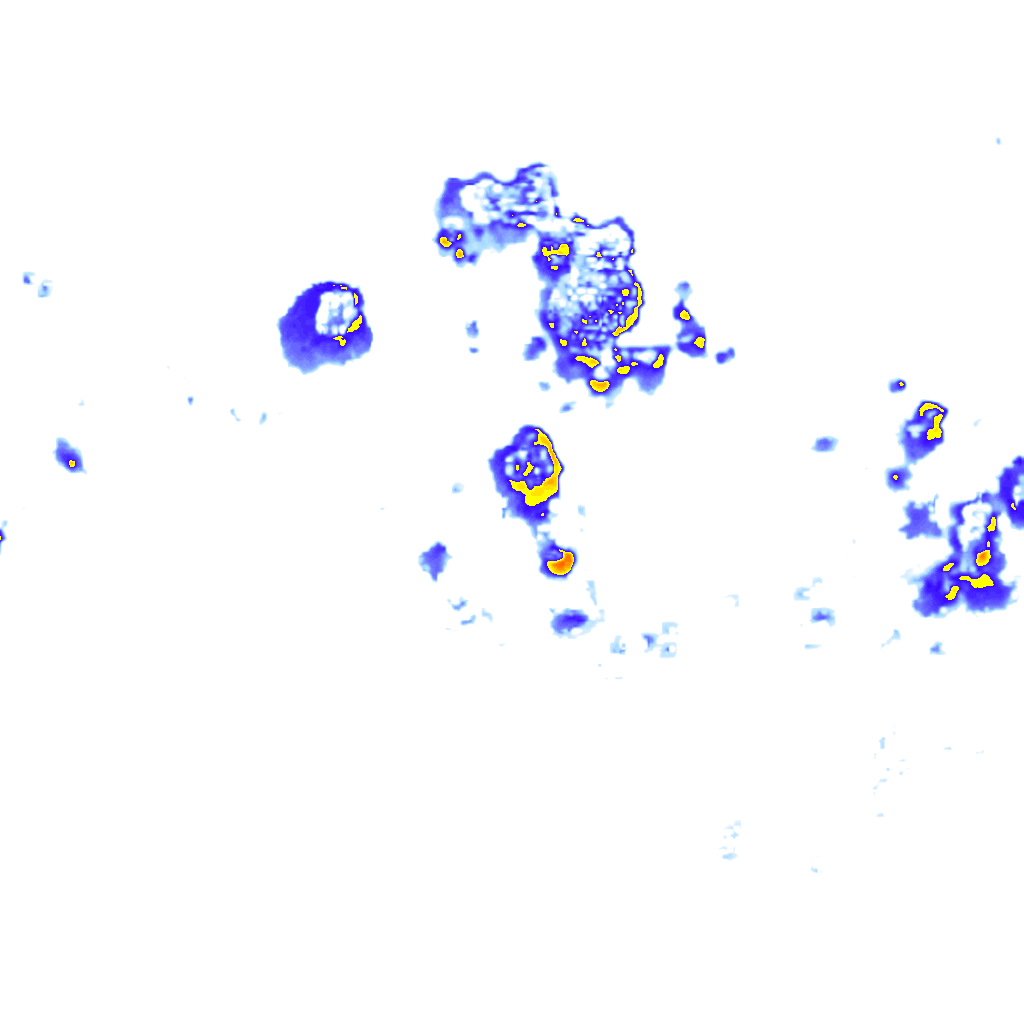 rainLayer