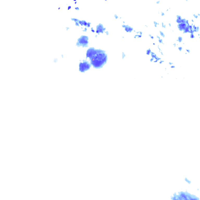 rainLayer