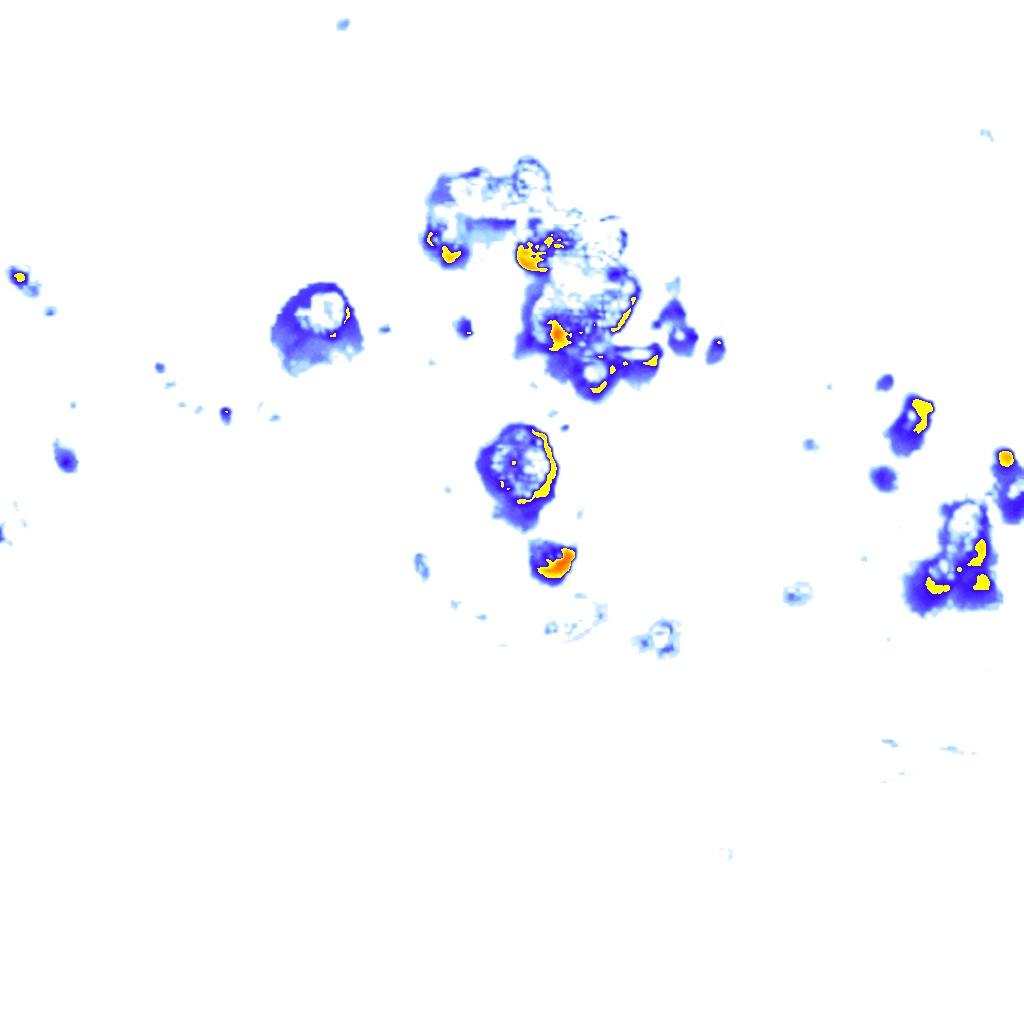Image Layer