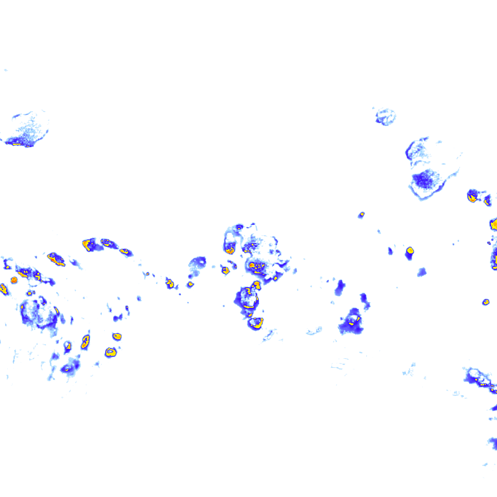 rainLayer