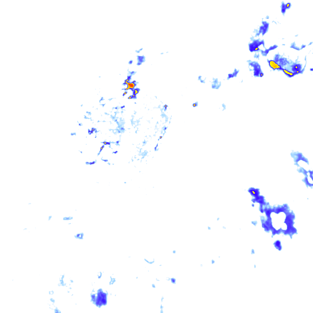 rainLayer