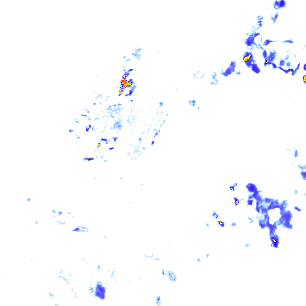 rainLayer