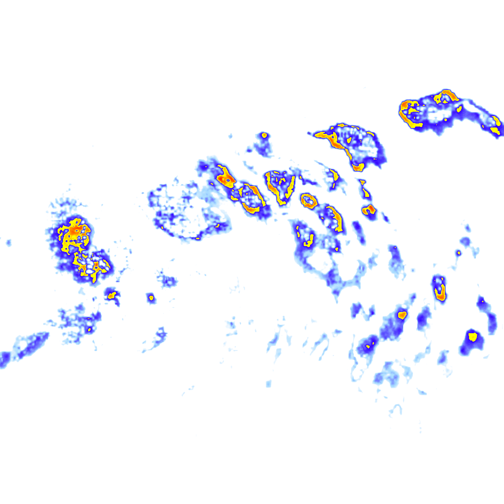 rainLayer