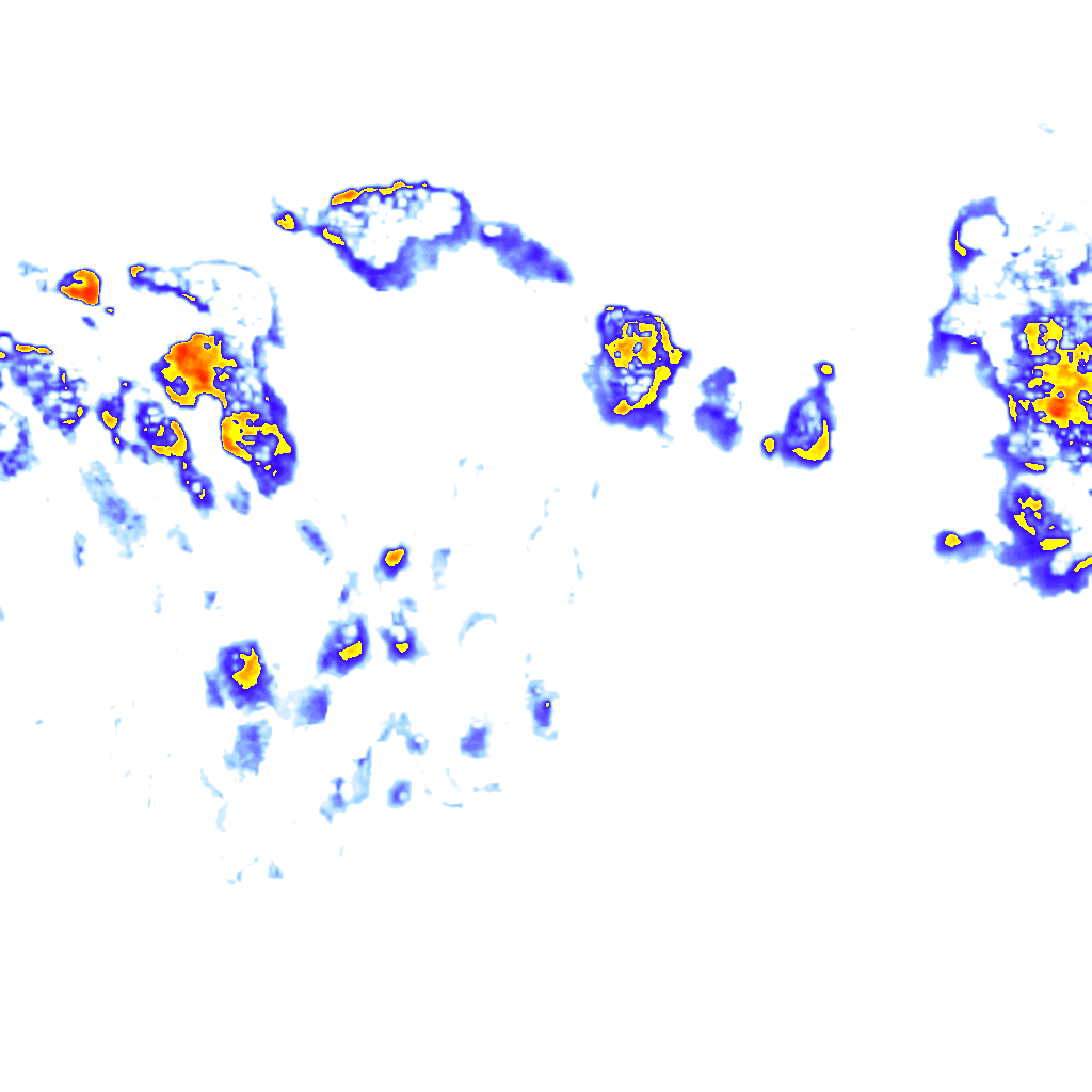 Image Layer