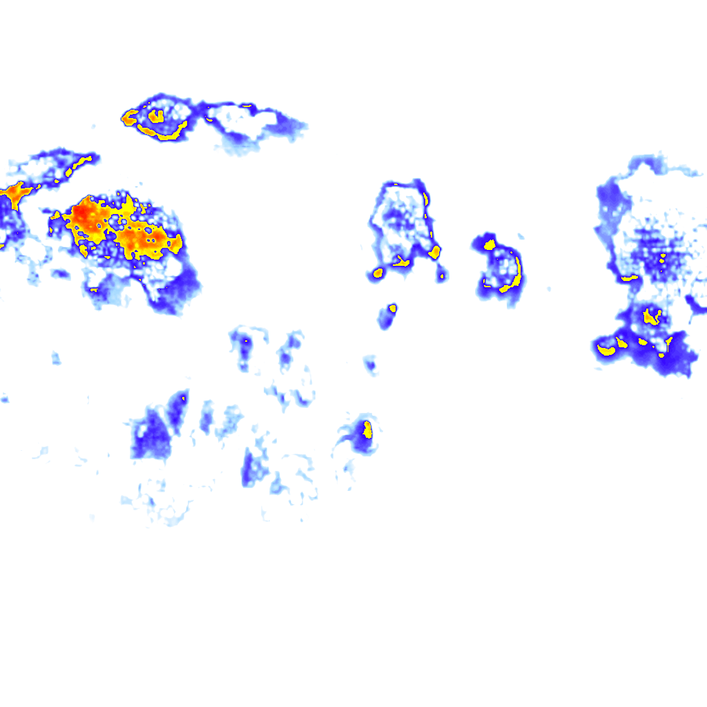 Image Layer