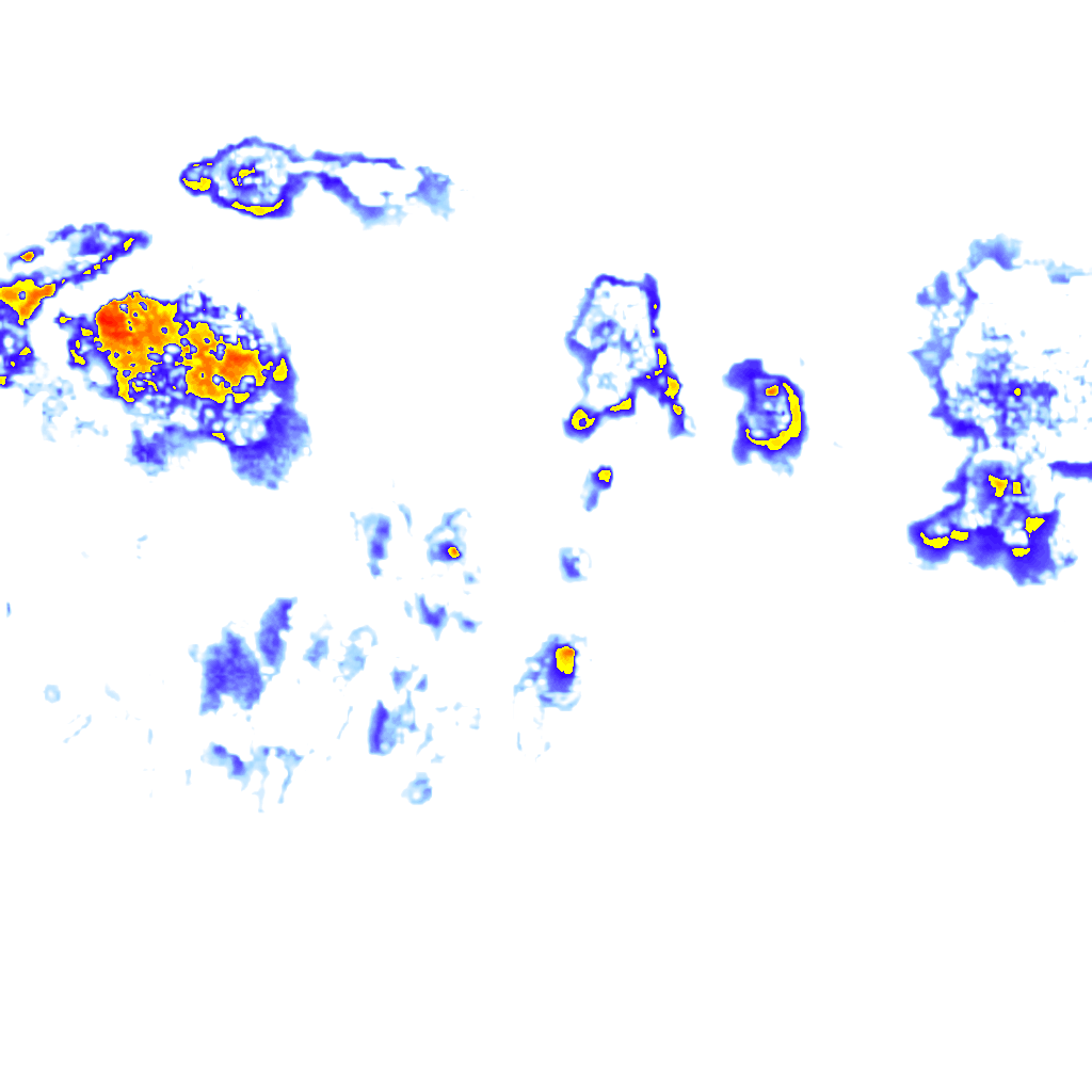 Image Layer