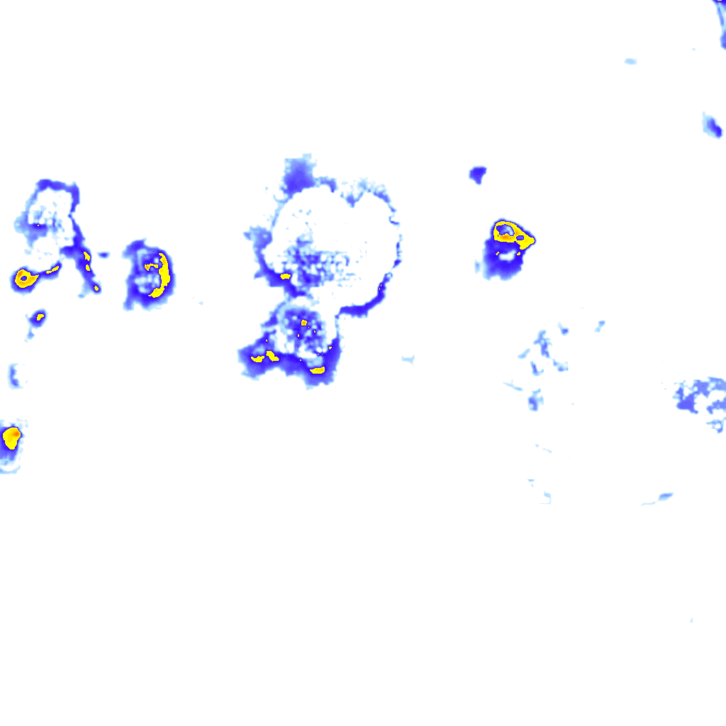 rainLayer