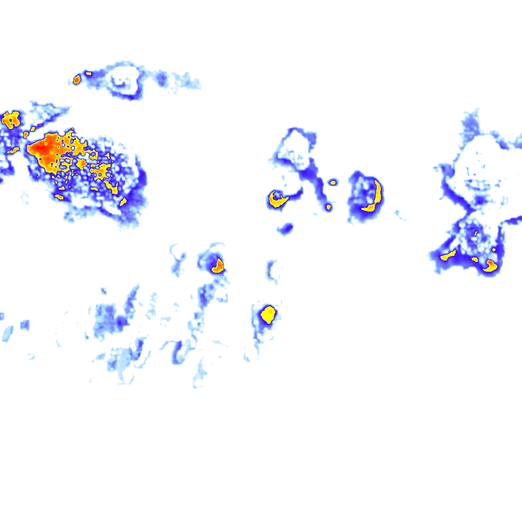 Image Layer