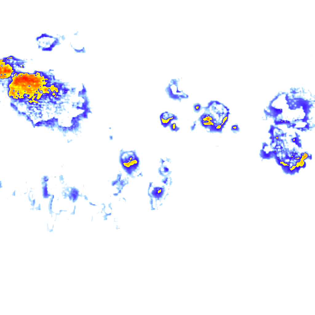 Image Layer
