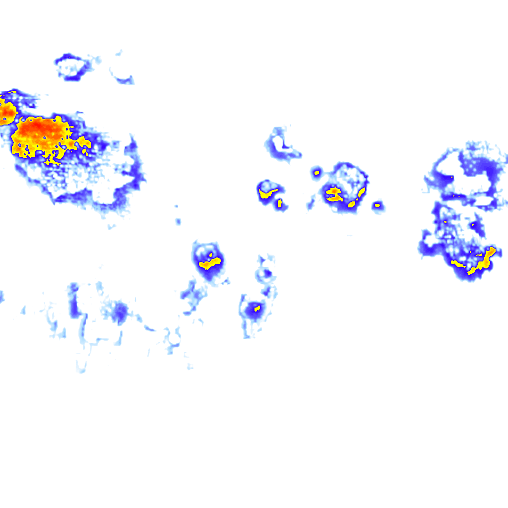 Image Layer