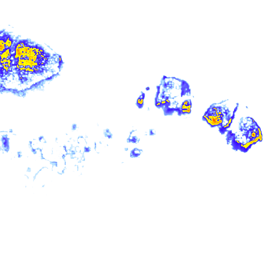 Image Layer
