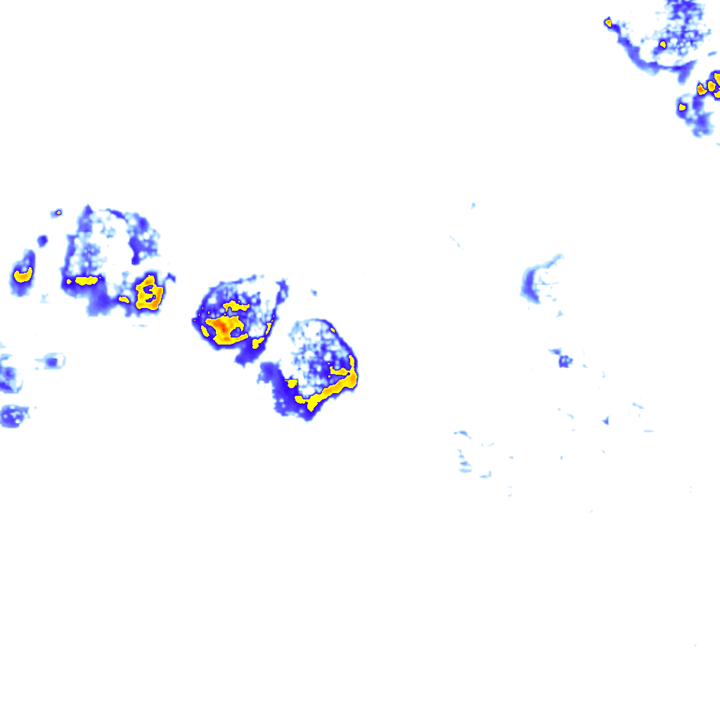 Image Layer