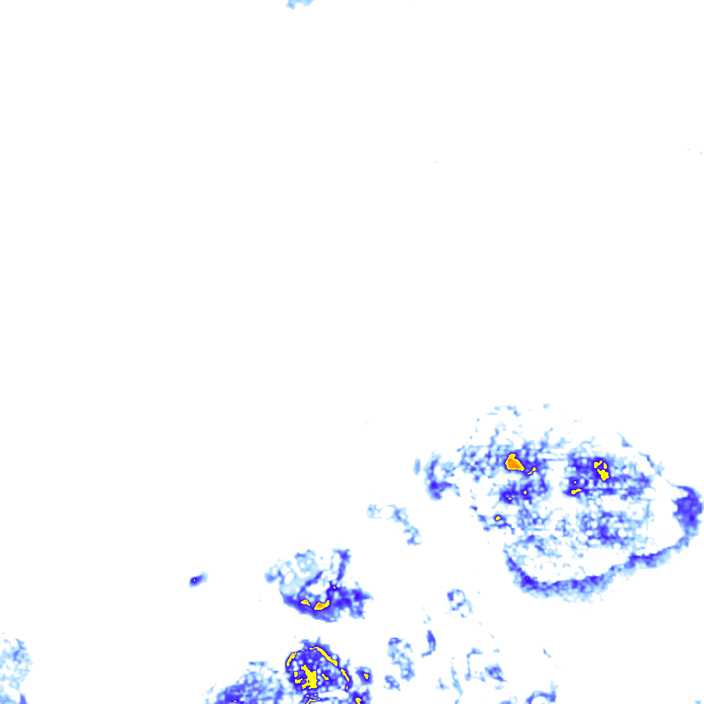 rainLayer
