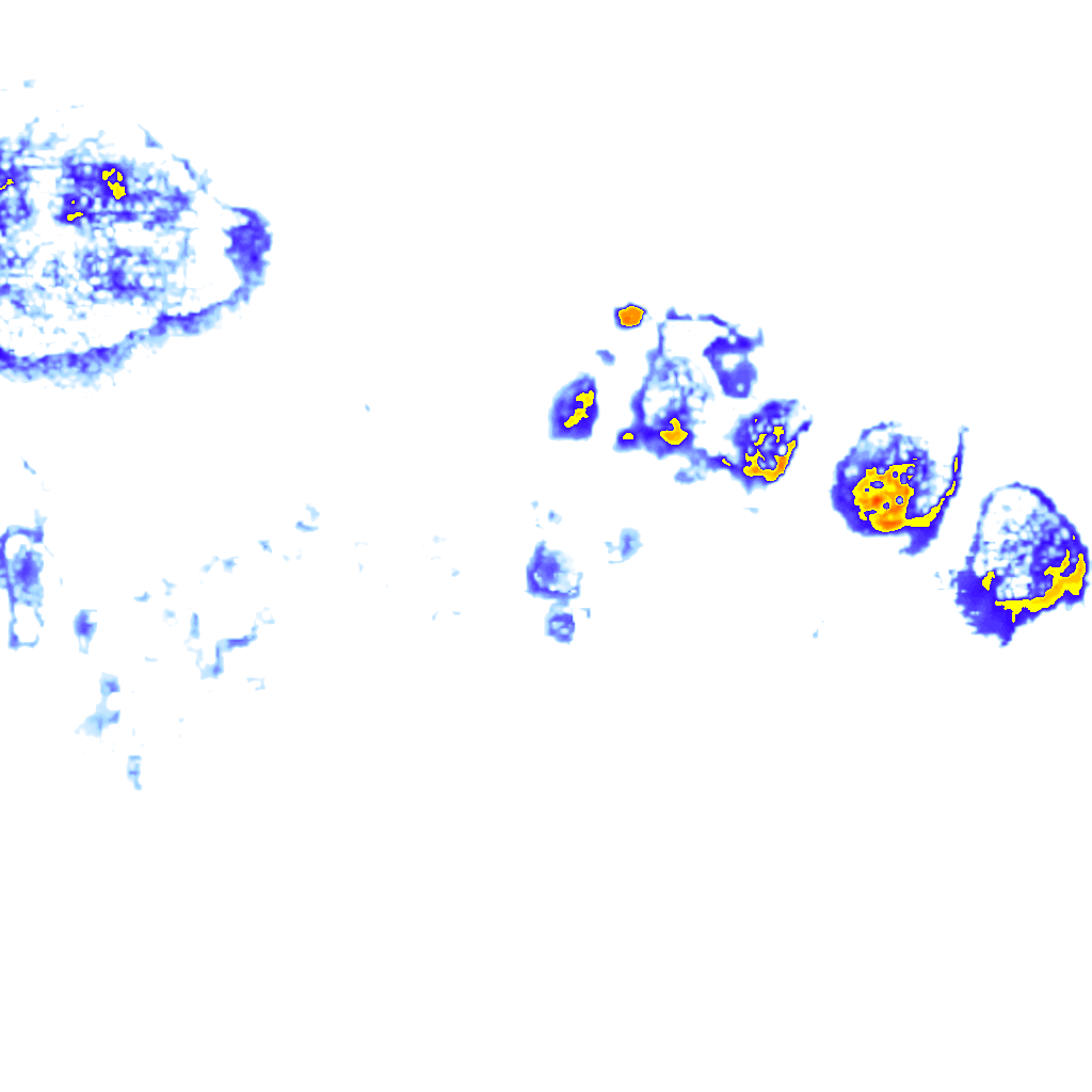 Image Layer