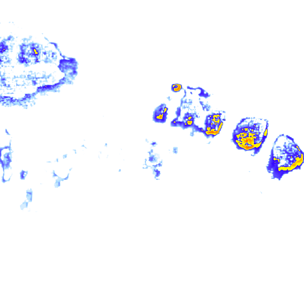 Image Layer