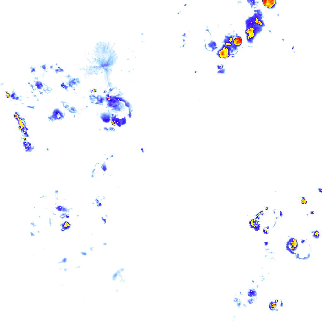 Image Layer
