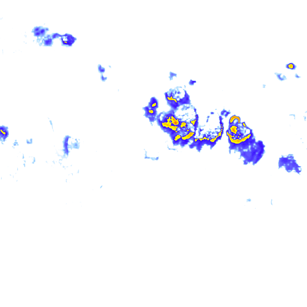 Image Layer