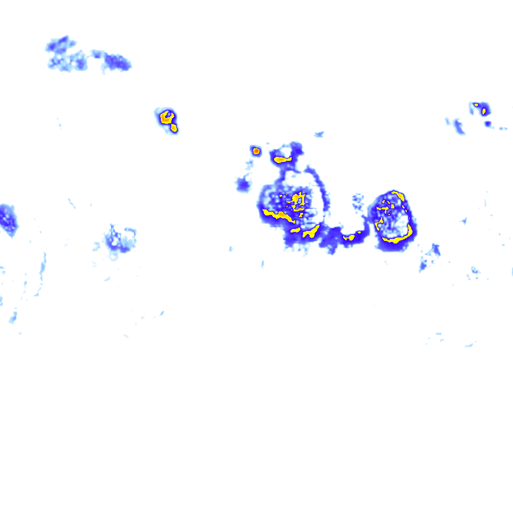 Image Layer