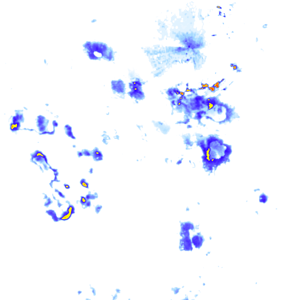 Image Layer
