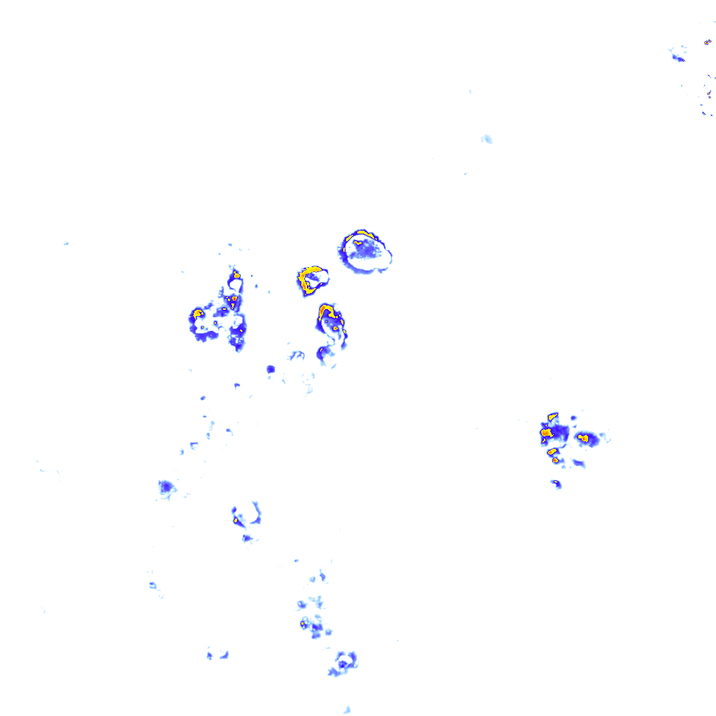 rainLayer