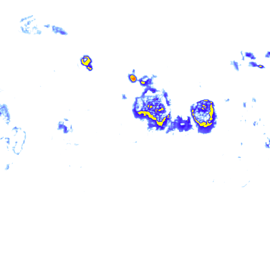 Image Layer