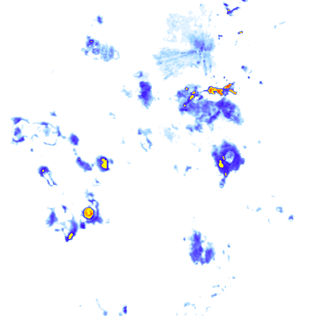 rainLayer