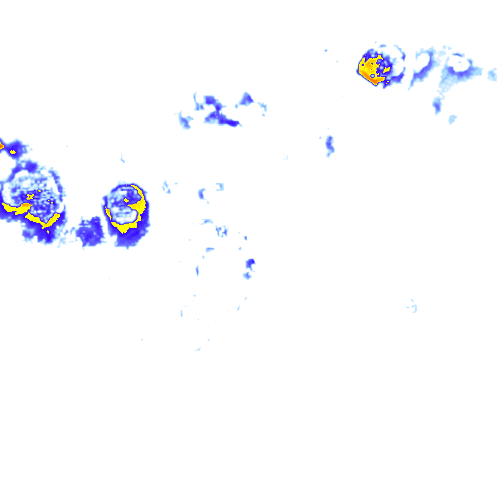 rainLayer