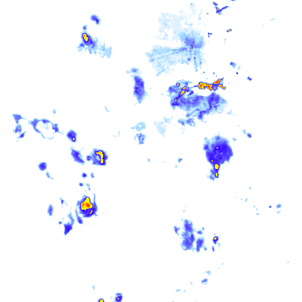 rainLayer