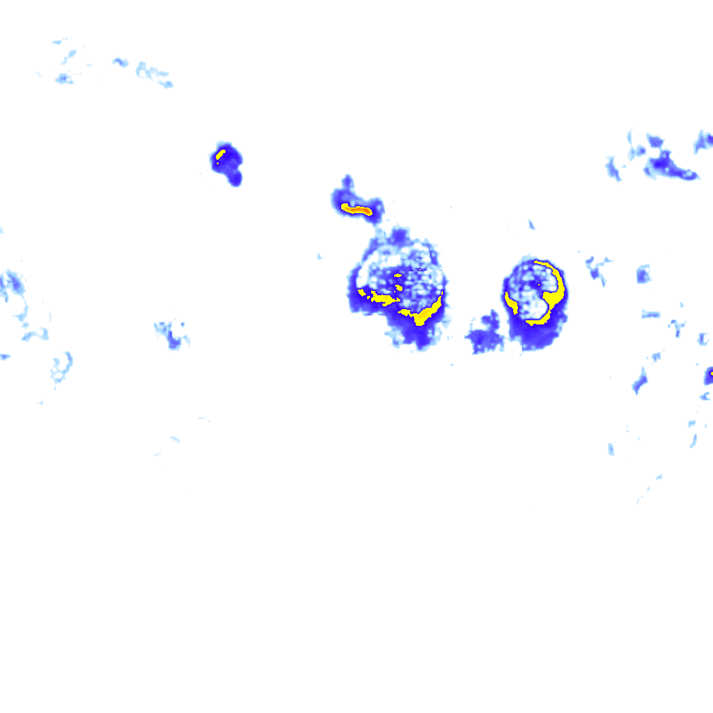 Image Layer